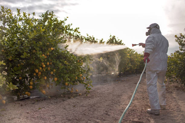 La Fayette, AL Pest Control Company
