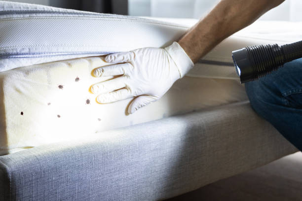 Best Pest Inspection Near Me  in La Fayette, AL