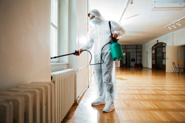 Best Flea Control Services  in La Fayette, AL