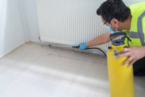 Best Mosquito Control Services  in La Fayette, AL