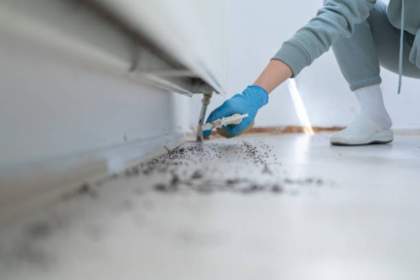 Best Affordable Pest Control Services  in La Fayette, AL